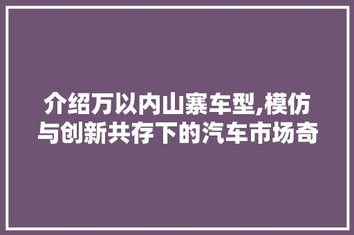 介绍万以内山寨车型,模仿与创新共存下的汽车市场奇观