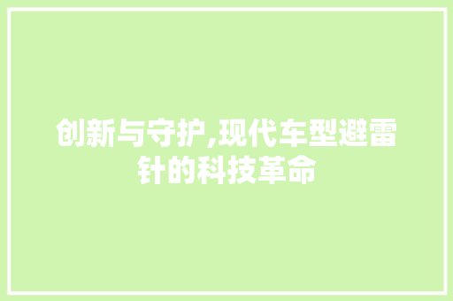 创新与守护,现代车型避雷针的科技革命