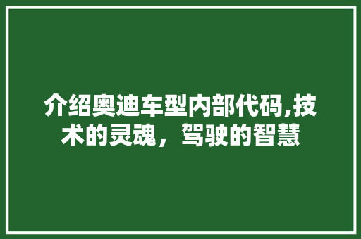 介绍奥迪车型内部代码,技术的灵魂，驾驶的智慧