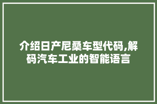 介绍日产尼桑车型代码,解码汽车工业的智能语言
