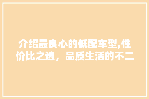 介绍最良心的低配车型,性价比之选，品质生活的不二之选 变速箱配件