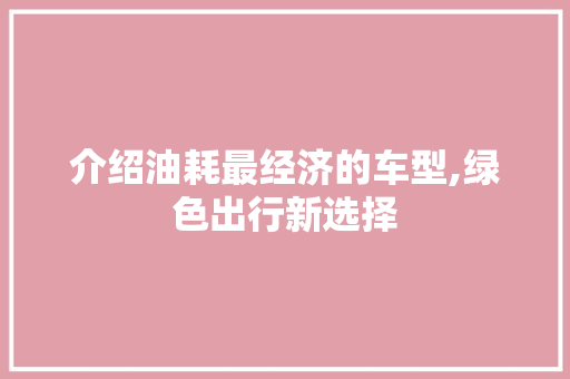 介绍油耗最经济的车型,绿色出行新选择 底盘配件