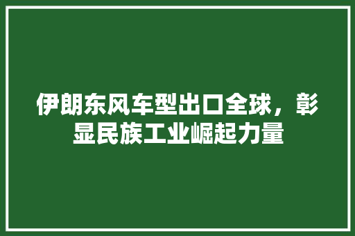 伊朗东风车型出口全球，彰显民族工业崛起力量