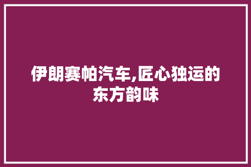 伊朗赛帕汽车,匠心独运的东方韵味
