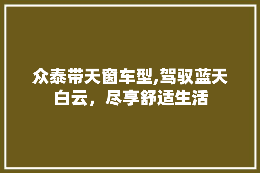 众泰带天窗车型,驾驭蓝天白云，尽享舒适生活