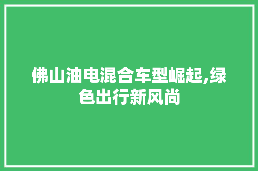 佛山油电混合车型崛起,绿色出行新风尚