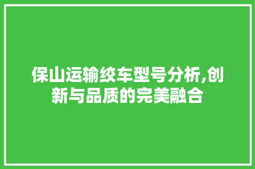 保山运输绞车型号分析,创新与品质的完美融合