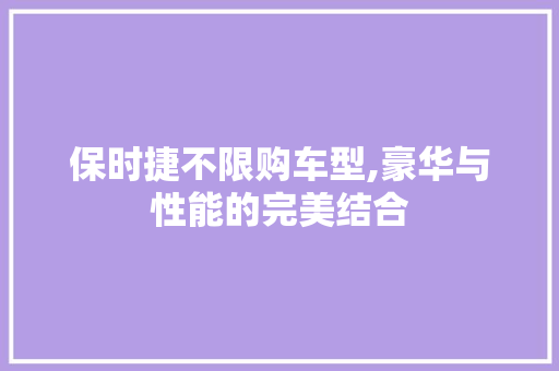 保时捷不限购车型,豪华与性能的完美结合