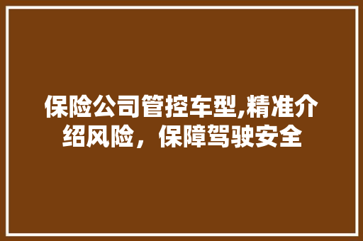 保险公司管控车型,精准介绍风险，保障驾驶安全
