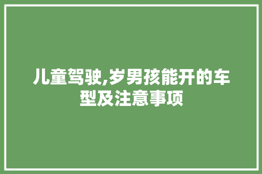 儿童驾驶,岁男孩能开的车型及注意事项