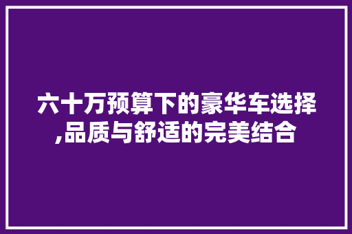 六十万预算下的豪华车选择,品质与舒适的完美结合