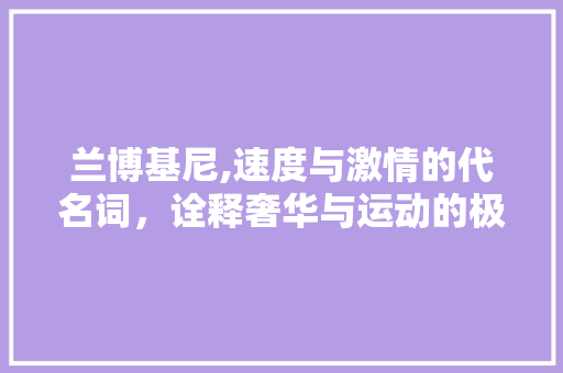 兰博基尼,速度与激情的代名词，诠释奢华与运动的极致追求