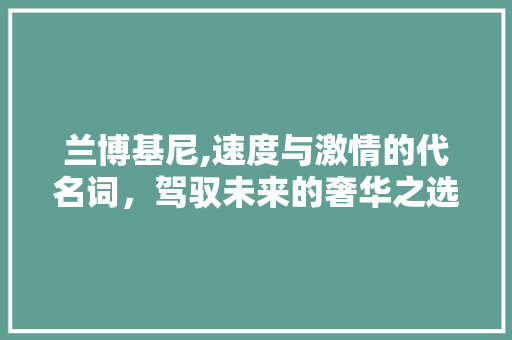 兰博基尼,速度与激情的代名词，驾驭未来的奢华之选