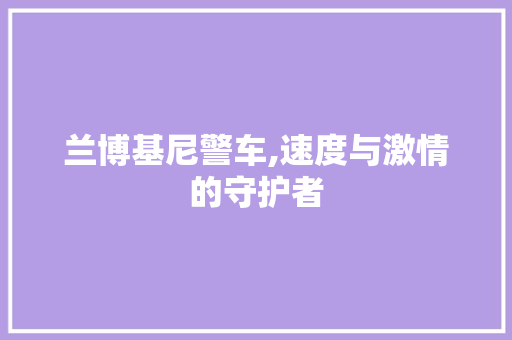 兰博基尼警车,速度与激情的守护者