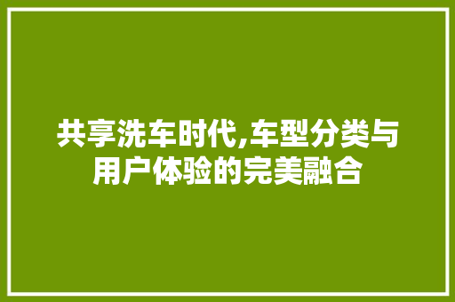 共享洗车时代,车型分类与用户体验的完美融合