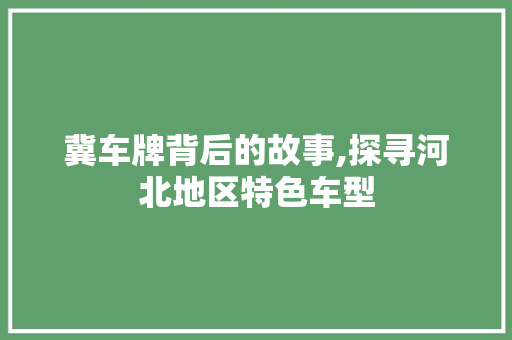 冀车牌背后的故事,探寻河北地区特色车型