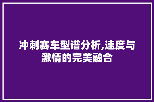 冲刺赛车型谱分析,速度与激情的完美融合
