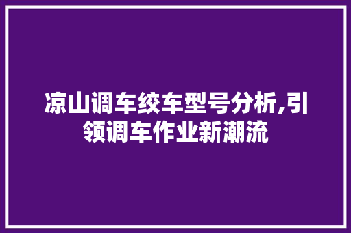 凉山调车绞车型号分析,引领调车作业新潮流