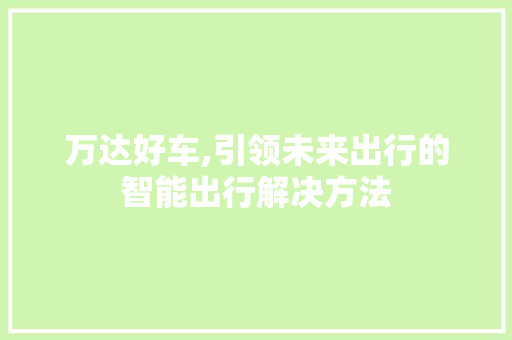 万达好车,引领未来出行的智能出行解决方法