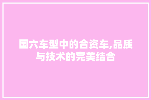 国六车型中的合资车,品质与技术的完美结合