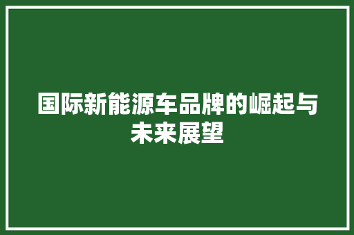 国际新能源车品牌的崛起与未来展望