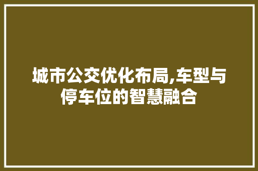 城市公交优化布局,车型与停车位的智慧融合