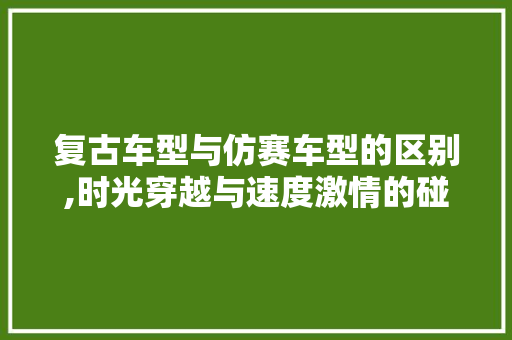 复古车型与仿赛车型的区别,时光穿越与速度激情的碰撞