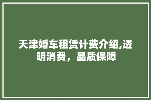 天津婚车租赁计费介绍,透明消费，品质保障