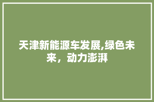 天津新能源车发展,绿色未来，动力澎湃