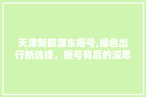 天津新能源车摇号,绿色出行新选择，摇号背后的深思