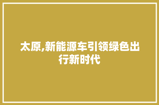 太原,新能源车引领绿色出行新时代