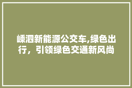 嵊泗新能源公交车,绿色出行，引领绿色交通新风尚