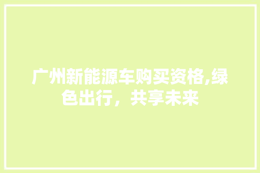 广州新能源车购买资格,绿色出行，共享未来