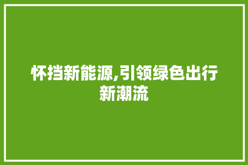 怀挡新能源,引领绿色出行新潮流