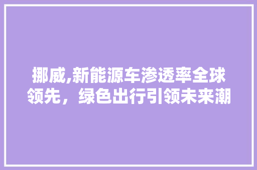 挪威,新能源车渗透率全球领先，绿色出行引领未来潮流