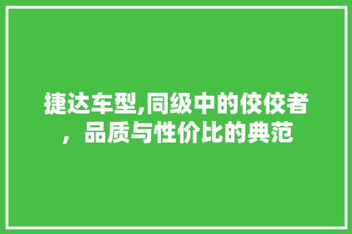 捷达车型,同级中的佼佼者，品质与性价比的典范