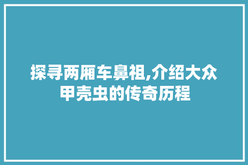 探寻两厢车鼻祖,介绍大众甲壳虫的传奇历程