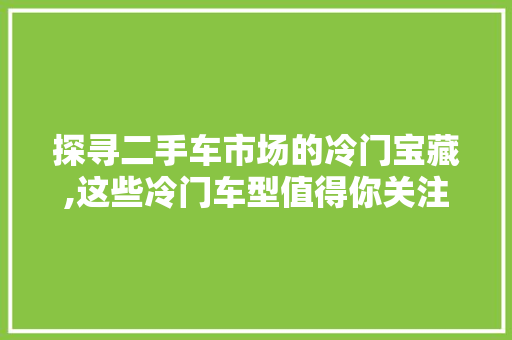 探寻二手车市场的冷门宝藏,这些冷门车型值得你关注 底盘配件