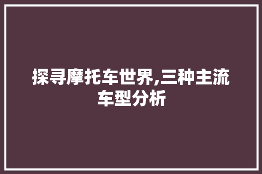 探寻摩托车世界,三种主流车型分析