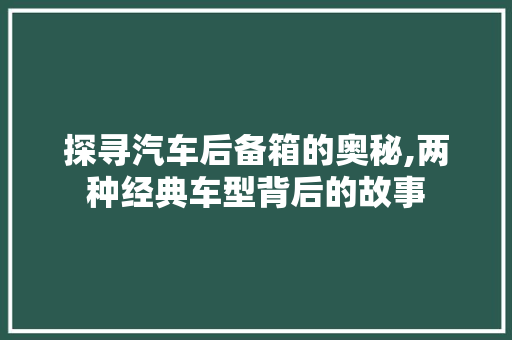 探寻汽车后备箱的奥秘,两种经典车型背后的故事