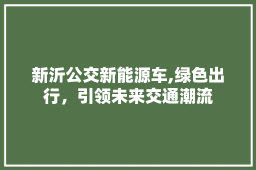 新沂公交新能源车,绿色出行，引领未来交通潮流