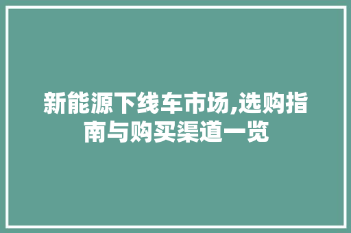 新能源下线车市场,选购指南与购买渠道一览