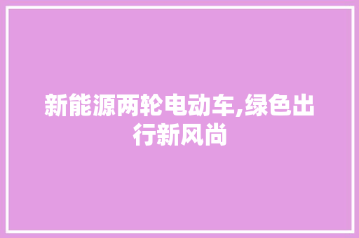 新能源两轮电动车,绿色出行新风尚