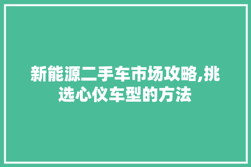 新能源二手车市场攻略,挑选心仪车型的方法