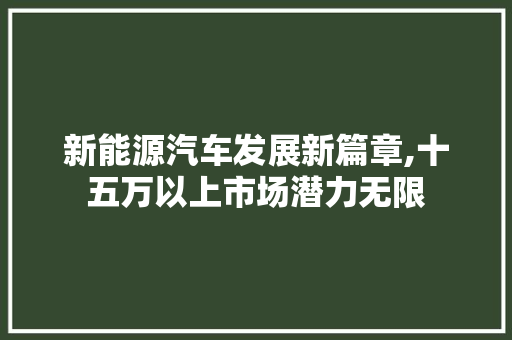 新能源汽车发展新篇章,十五万以上市场潜力无限