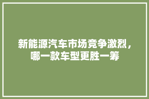 新能源汽车市场竞争激烈，哪一款车型更胜一筹