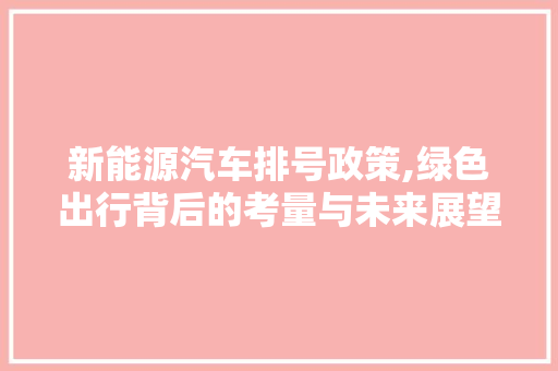 新能源汽车排号政策,绿色出行背后的考量与未来展望