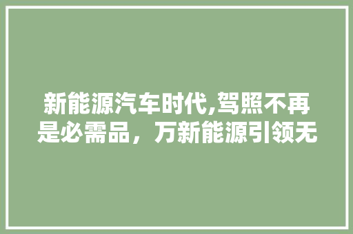 新能源汽车时代,驾照不再是必需品，万新能源引领无证驾驶新潮流