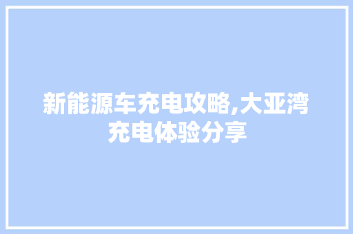 新能源车充电攻略,大亚湾充电体验分享