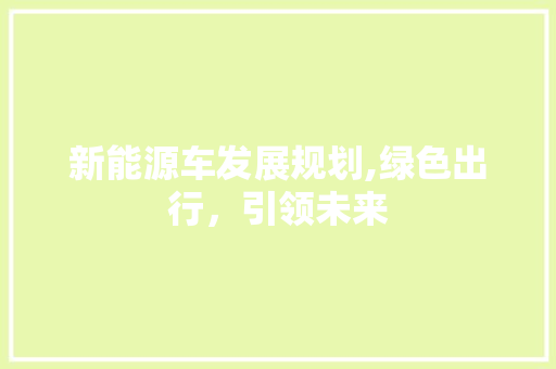 新能源车发展规划,绿色出行，引领未来